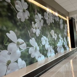 Atrium Health Wake Forest Baptist Davie Medical Center - Beautiful wall photo mural at Atrium Health Davie Medical Center.