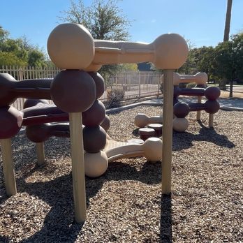 Townsend Park - Parks Near Me - Phoenix, Arizona Townsend Park - Parks Near Me - Phoenix, Arizona