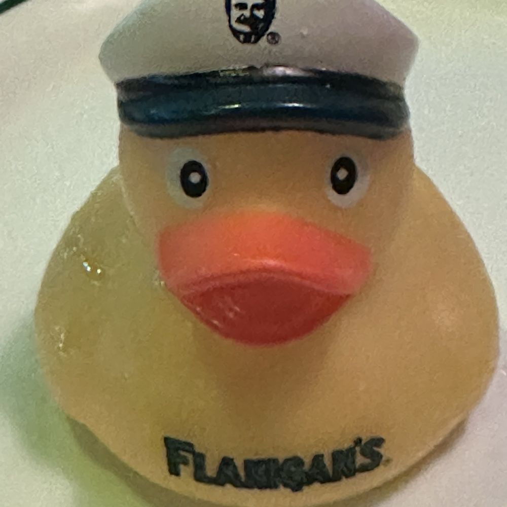 Flannigan's Duck Duck Joe came with my drink. Flannigan's Duck Duck Joe came with my drink.
