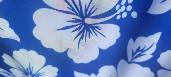 Clothesline Cleaners - Orchard