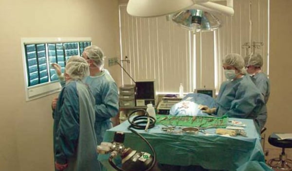 Katonah Bedford Veterinary Center 52 Photos 43 Reviews Veterinarians 546 N Bedford Rd Rte 117 Bedford Hills Ny United States Phone Number