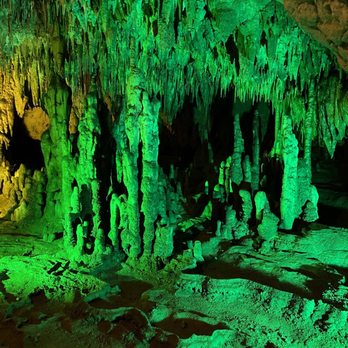 Florida Caverns State Park - Parks Near Me - Marianna, Florida Florida Caverns State Park - Parks Near Me - Marianna, Florida