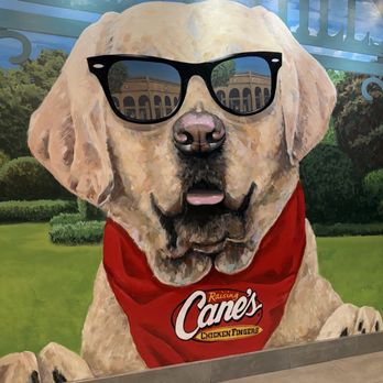 Raising Cane's Chicken Fingers - Fast Food Near Me - Forest Hills, New York Raising Cane's Chicken Fingers - Fast Food Near Me - Forest Hills, New York