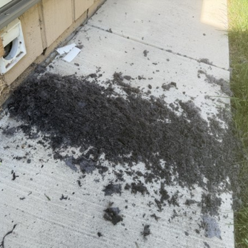 Whole Duct - Air Duct Cleaning Near Me Whole Duct - Air Duct Cleaning Near Me