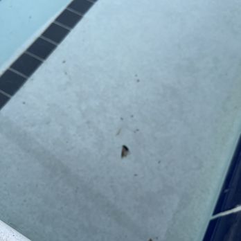 Residence Inn by Marriott - More bugs - Hotels Near Me - Waldorf, Maryland Residence Inn by Marriott - More bugs - Hotels Near Me - Waldorf, Maryland
