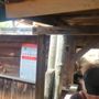 Photo of Quick Draw