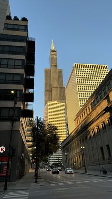 Willis Tower by null