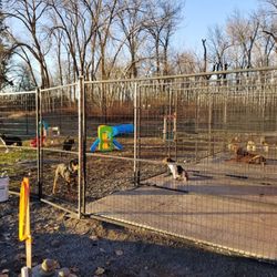 Ellensburg Kennels - Ellensburg's new boarding & daycare facility.