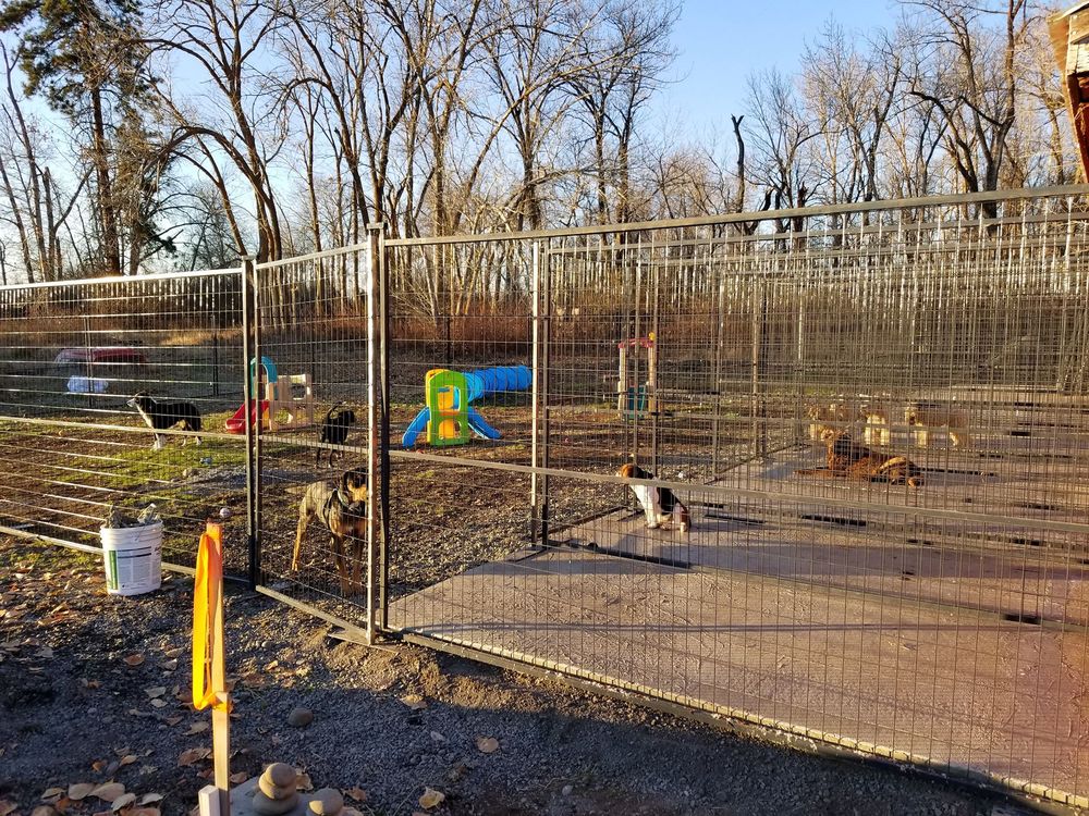 ELLENSBURG KENNELS Updated September 2024 16 Photos 430 Klocke Rd