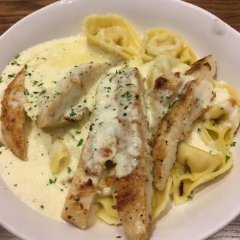 Olive Garden Italian Restaurant - Chicken Tortelloni Alfredo - half portion - Italian Near Me - Denton, Texas Olive Garden Italian Restaurant - Chicken Tortelloni Alfredo - half portion - Italian Near Me - Denton, Texas