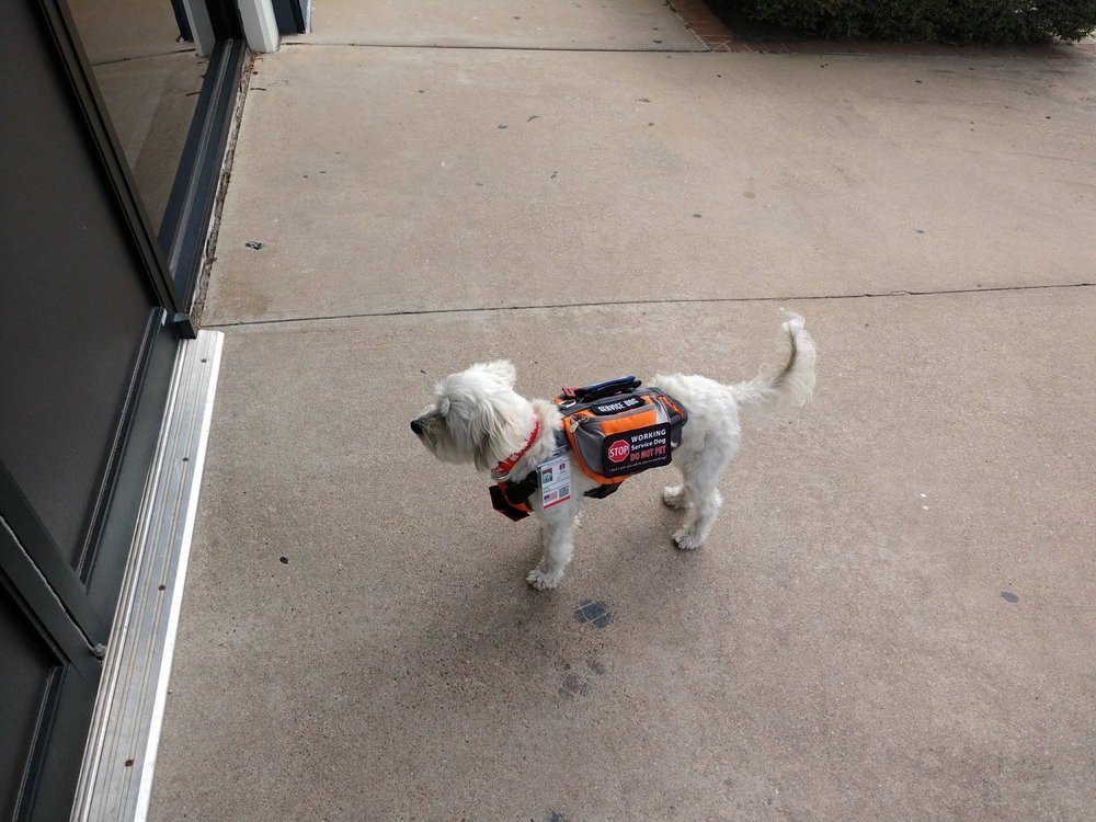 MEQUON ACE HARDWARE Updated September 2024 11 Photos & 25 Reviews