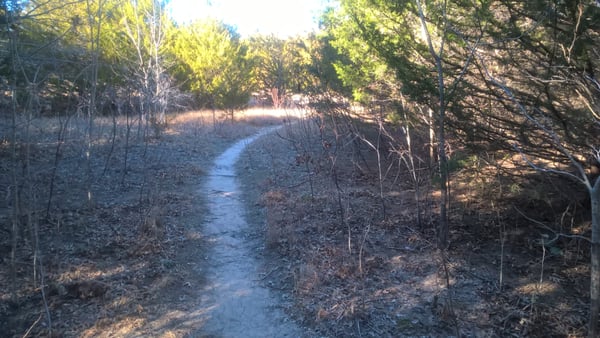 Spring Creek Forest Preserve by null