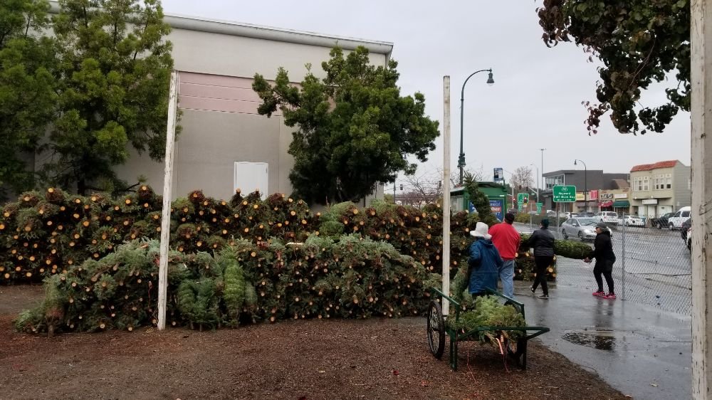 BOY SCOUTS CHRISTMAS TREE LOT Updated January 2025 1990 S El Camino Real, San Mateo