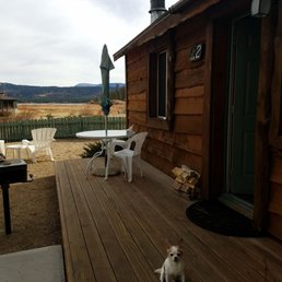 Sammy enjoying the cabin at Quail Cove! Sammy enjoying the cabin at Quail Cove!