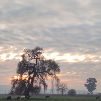 Garre Winery - Sunset View - Wineries Near Me - Livermore, California