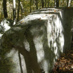 Burrillville Wildlife Area
