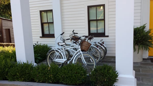 White Moose Inn by null