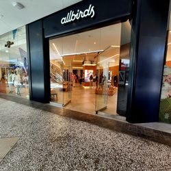 Allbirds