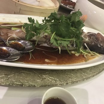 Fusion Delight - Chinese Near Me - San Leandro, California Fusion Delight - Chinese Near Me - San Leandro, California