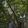 Planet Tree Service