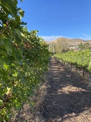 Vin Du Lac Winery by null