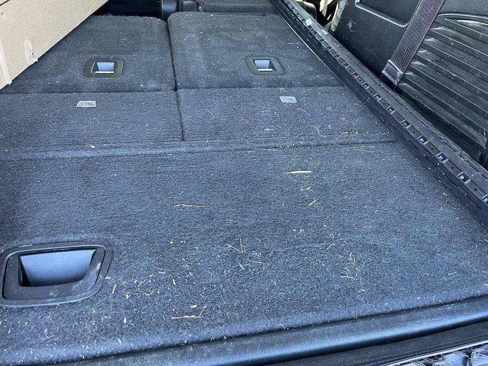 An Immersive Dive into Drive and Shine near Me