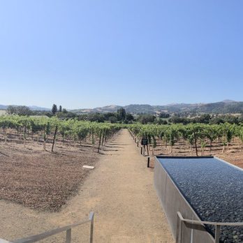 Silver Oak - Healdsburg - Pano view from the back patio. - Wine Tasting Room Near Me - Healdsburg, California Silver Oak - Healdsburg - Pano view from the back patio. - Wine Tasting Room Near Me - Healdsburg, California