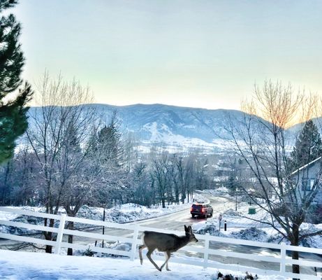 WORLDMARK WOLF CREEK - Updated December 2024 - 37 Photos & 17 Reviews