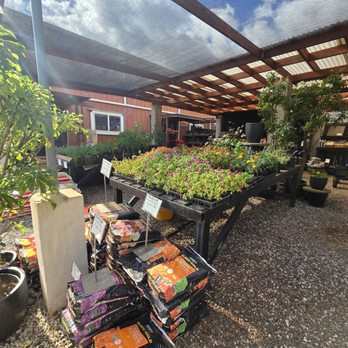 Mari's Gardens - Nurseries & Gardening Near Me - Mililani, Hawaii Mari's Gardens - Nurseries & Gardening Near Me - Mililani, Hawaii