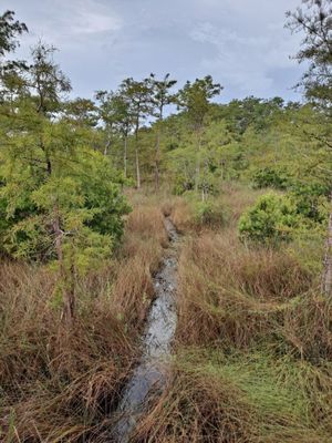 Kirby Storter Roadside Park by null