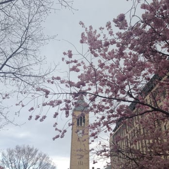 Cornell University - Colleges & Universities Near Me - Ithaca, New York