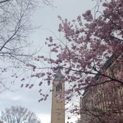 Cornell University