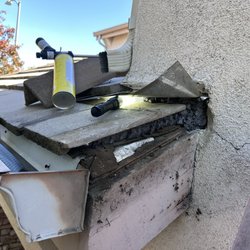 Premier Rodent Proofing - Working on it
