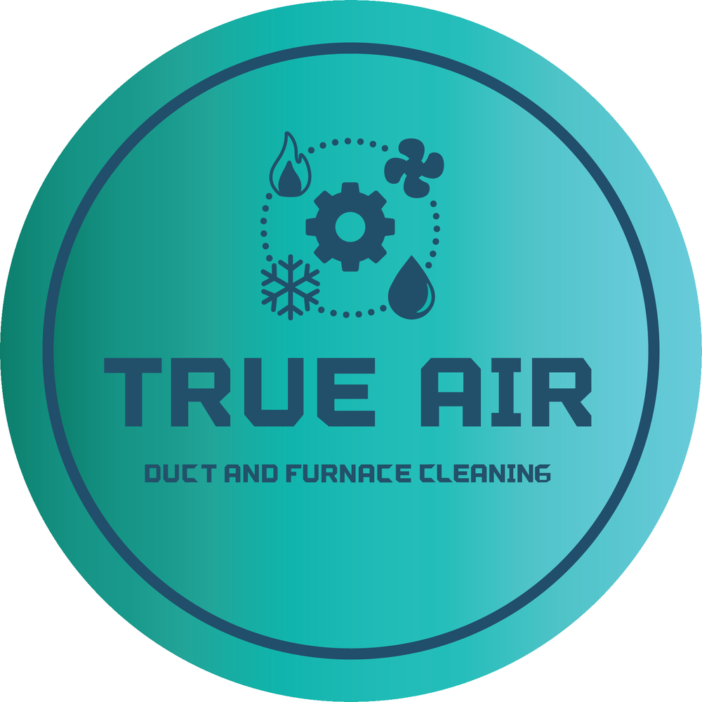 TRUE AIR DUCT AND FURNACE CLEANING Updated October 2024 3307 46