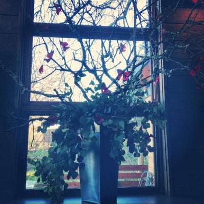 T-Vine Winery by null