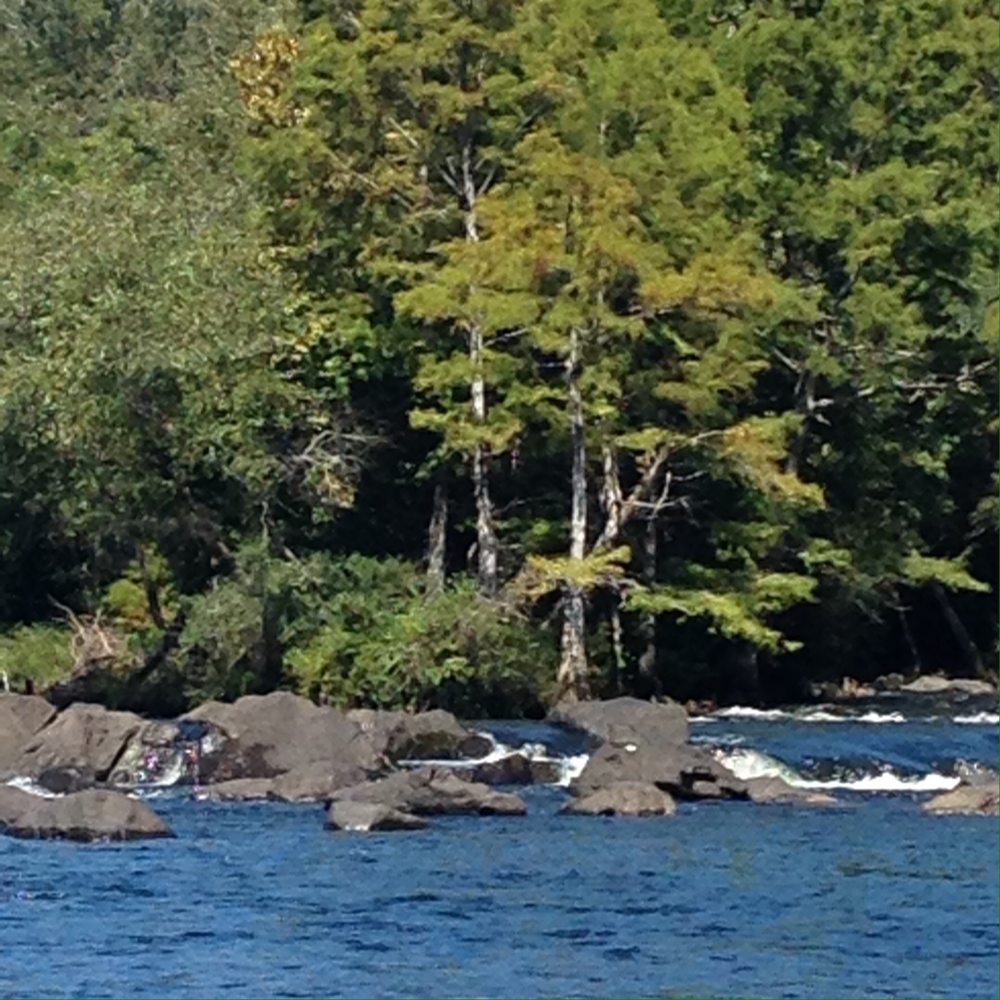 YIPPIE KAYO KAYAKS Updated August 2024 18 Photos 5900 E Hwy 70