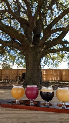 Local Oak Brewing Co. by null
