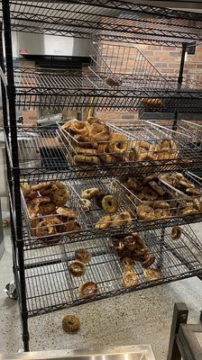 Myer's Bagels by null