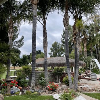 Best Valley Tree Services - After - Tree Services Near Me Best Valley Tree Services - After - Tree Services Near Me