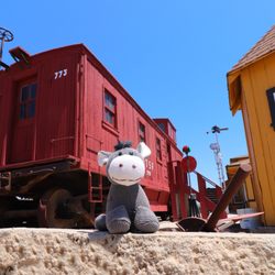 Shafter Depot Museum - Sterling thought the train stuff was fantastic! The caboose is always the last car on a train but it's always first in his heart.