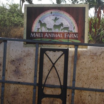 Maui Animal Farm - Petting Zoos Near Me - Lahaina, Hawaii