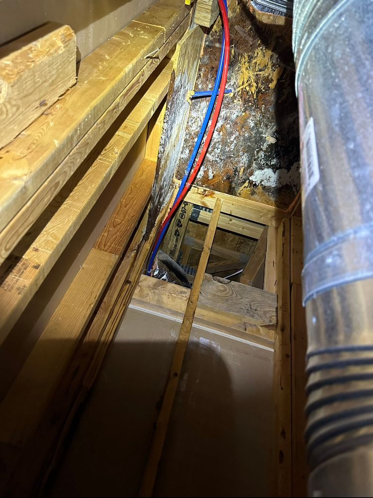 Slide of Alamo Development Enterprises