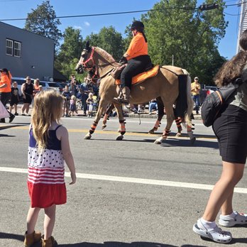 Oakfield Labor Daze - horse in parade - Festivals Near Me - Oakfield, New York