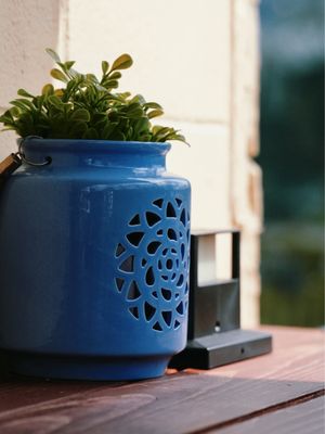 Kenz Coffee Bar by null