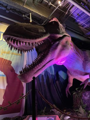 DINO SAFARI - Updated August 2025 - 14 Photos - 849 E Commerce St, San