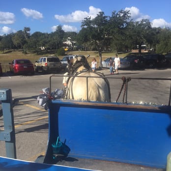 Southurn Rose Buggy Tours - The amazing tour guide horse Jim begins our tour! - Tours Near Me