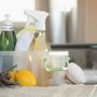 Photo of Mina's Housekeeping Services