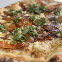 Pesto Italian Craft Kitchen - Butternut squash pizza with caramelized, onions, and hot honey