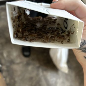 Grandview Plaza - ROACHES GALORE. SICK LANDLORDS. SCREW VALYNDA. - Apartments Near Me - Great Falls, Montana