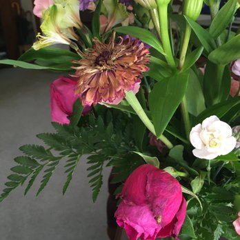 Eva's Creations - Florists Near Me - Mount Dora, Florida Eva's Creations - Florists Near Me - Mount Dora, Florida